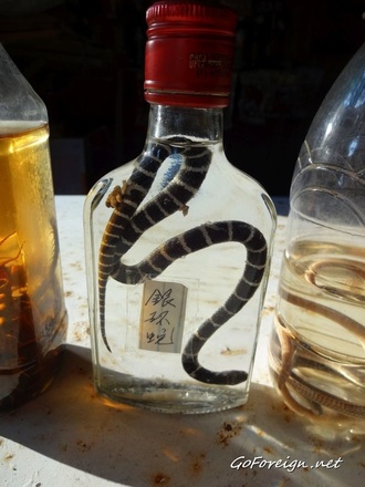 snake wine